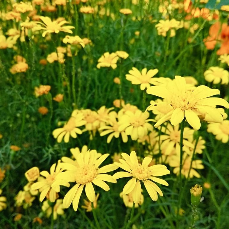 Hello Spring and My Good Old&nbsp;Friends!