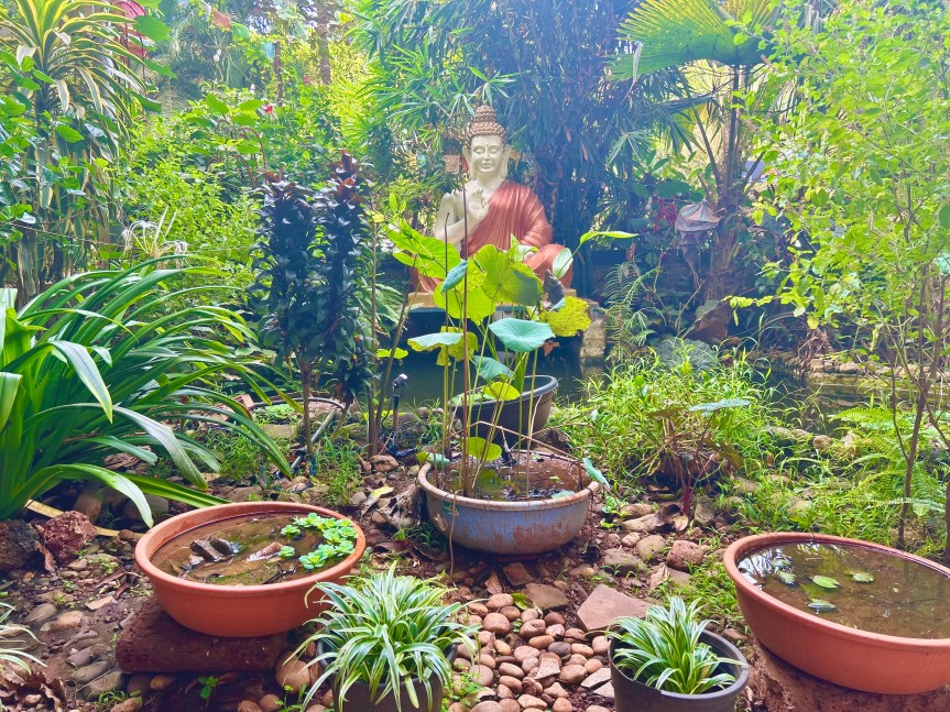 Finding Susegad in Goa 